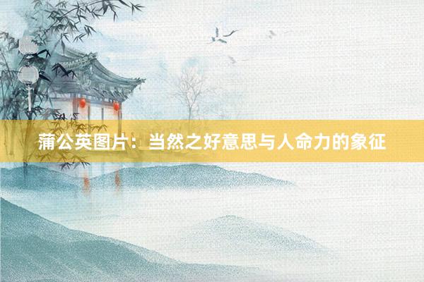 蒲公英图片:当然之好意思与人命力的象征